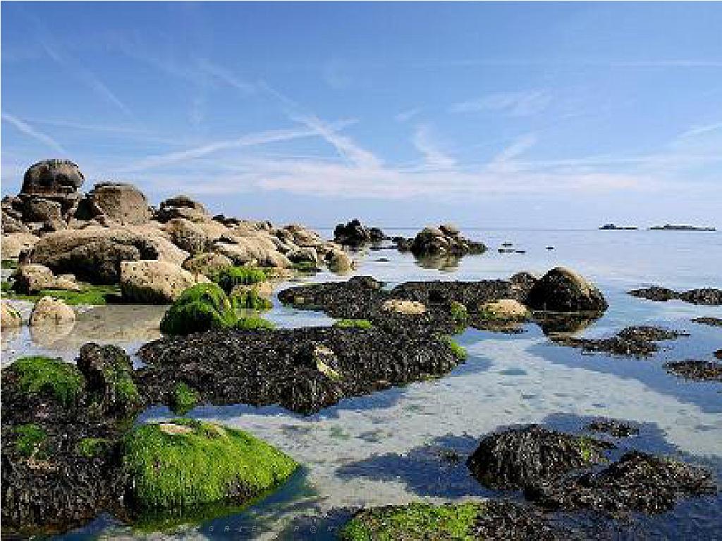 156 ILE DE HOEDIC_000067.jpg